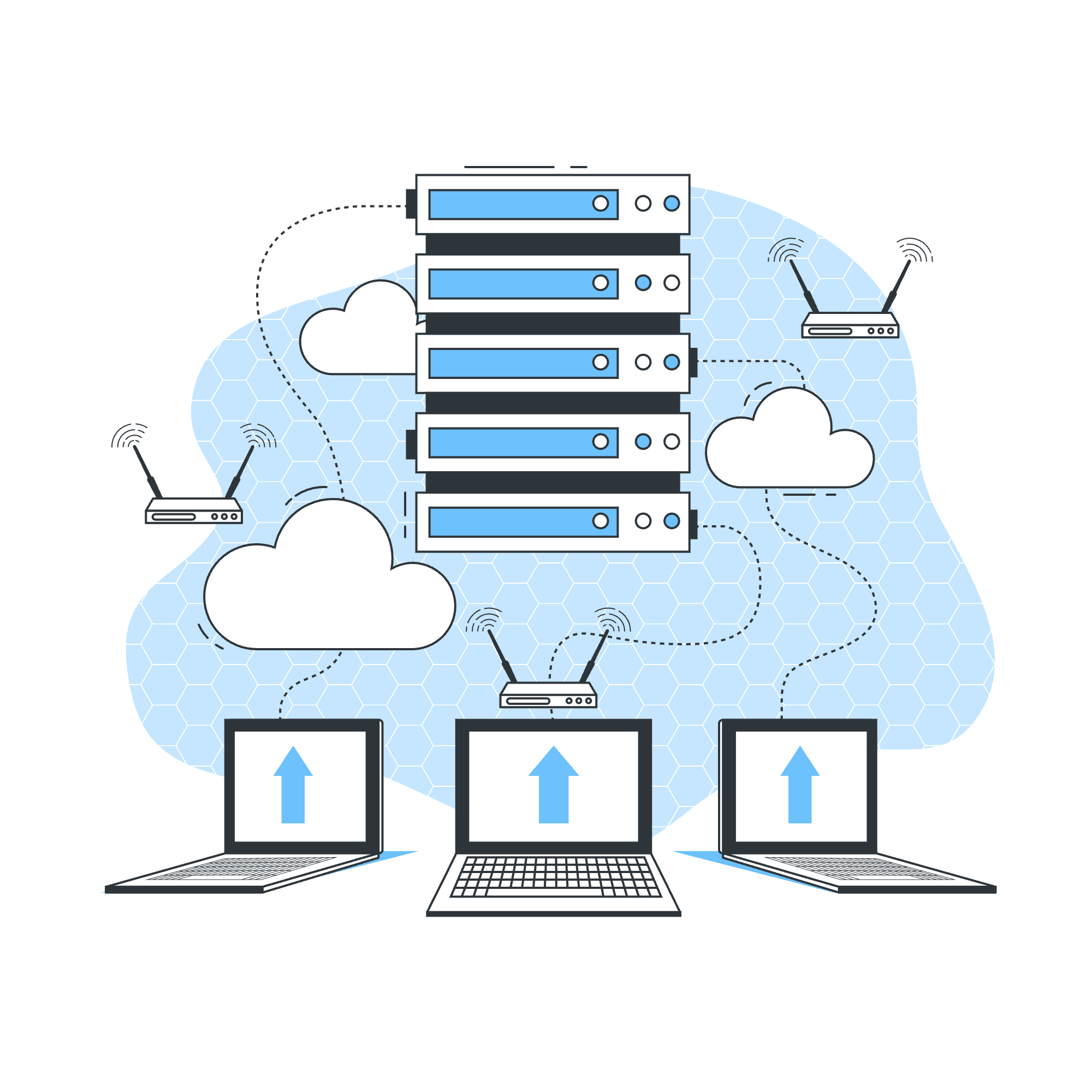 About Rainesoft